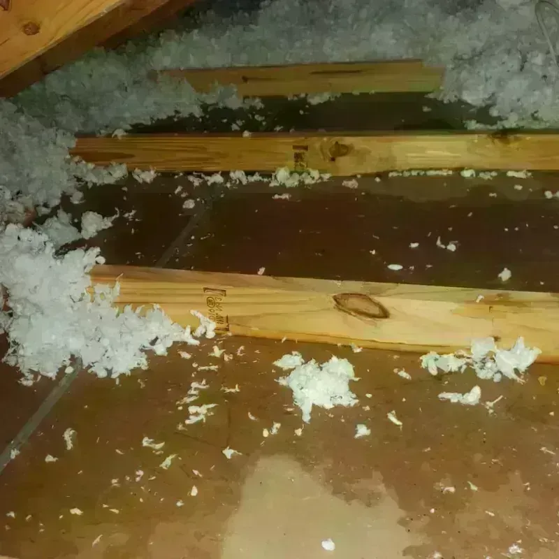 Attic Water Damage in Stephens County, GA