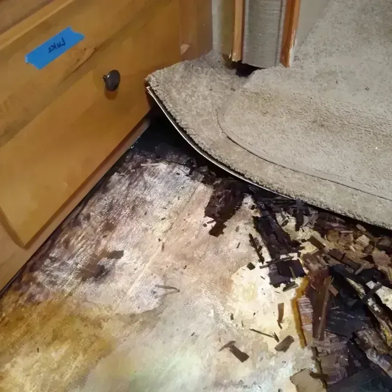 Wood Floor Water Damage in Stephens County, GA